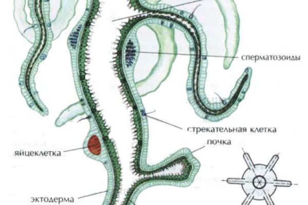 Кракен даркнет зеркало