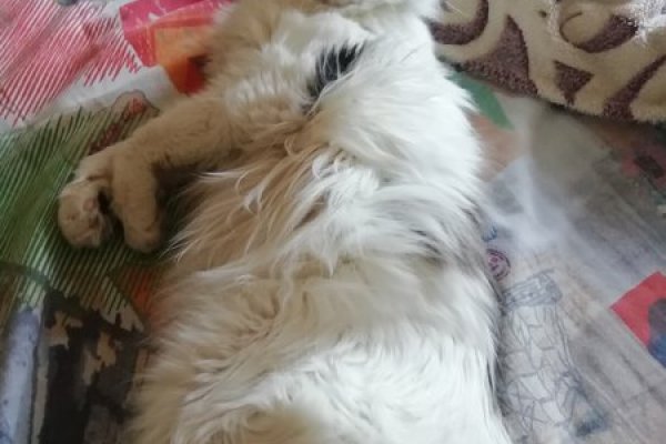 Kraken даркнет рынок ссылка