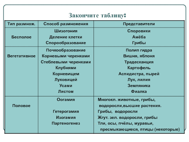 Кракен москва наркота