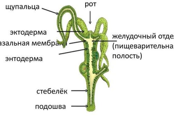 Зеркала сайта кракен tor